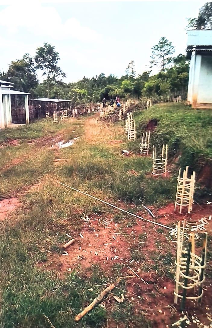 C:\Users\Lavinia Pde\Pictures\Camera Roll\Nongpyrdet\Nongpyrdet\IMG_20220719_124944.jpg